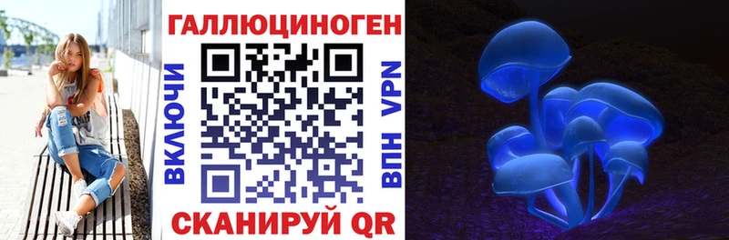Галлюциногенные грибы MAGIC MUSHROOMS  закладка  Камышлов 